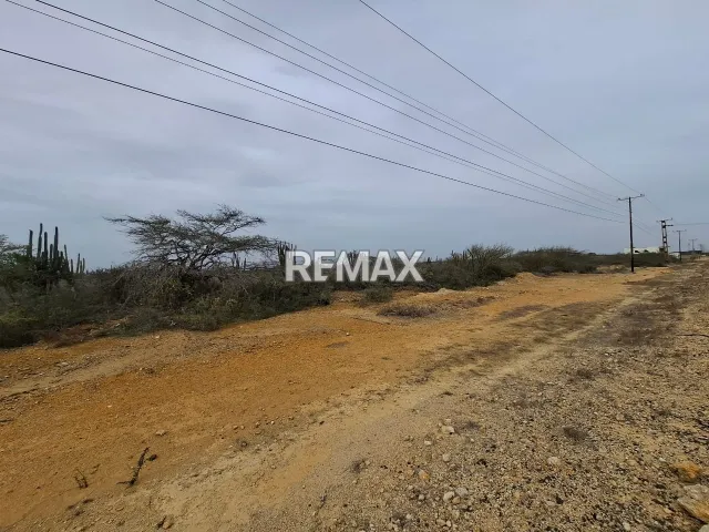 En Venta Terreno y Parcela Guanadito Sur, Los Taques., Guanadito, Los Taques, Falcón, VEN - Foto 3