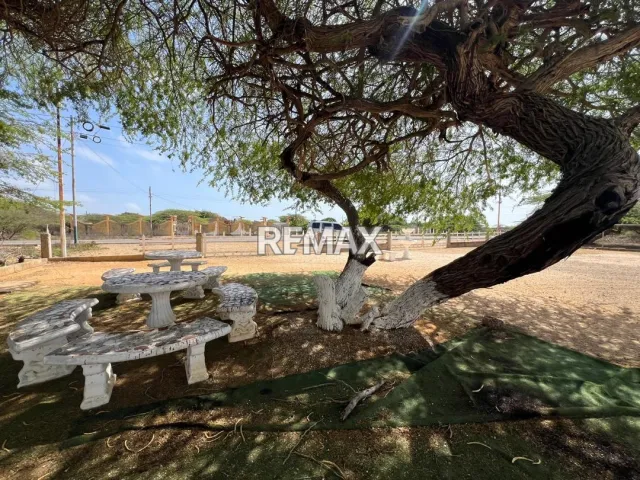 En Venta Casa o TownHouse Sector Guacuira, Los Taques, Falcón, VEN - Foto 3