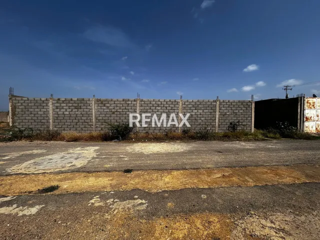 En Venta Terreno y Parcela Rosa Virginia, Campo Guanadito Sur, Guanadito, Los Taques, Falcón, VEN - Foto 4
