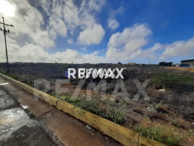 En Venta Terreno y Parcela Las Adjuntas, Punto Fijo, Carirubana, Falcón, VEN - Foto 5