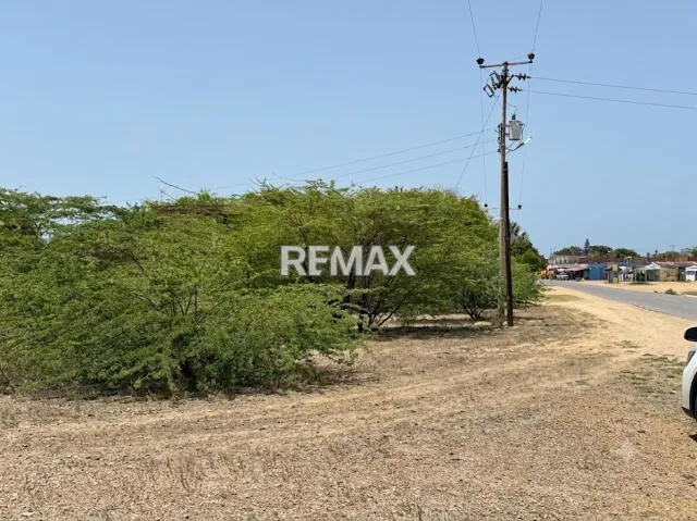 En Venta Terreno y Parcela poblacion de adicora, parroquia adicora, juridicion del estado falcon, Adícora, Falcón, VEN - Foto 5