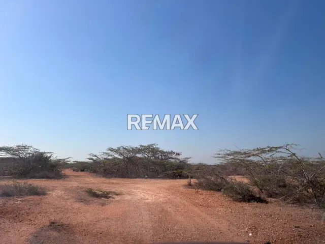En Venta Terreno y Parcela Parcelamiento Alta mar, Campo Guanadito Sur, Guanadito, Los Taques, Falcón, 4148, VEN - Foto 2