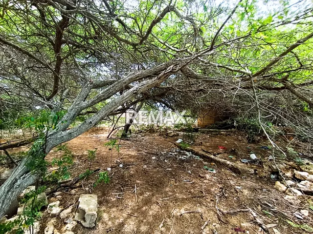 En Venta Terreno y Parcela Adícora, Falcón, VEN - Foto 2