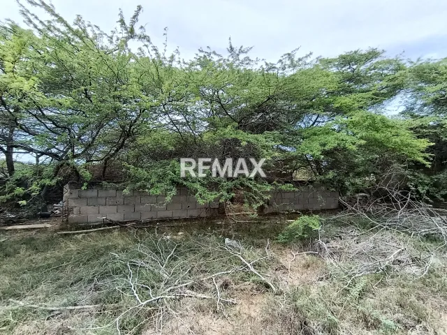 En Venta Terreno y Parcela Adícora, Falcón, VEN - Foto 3
