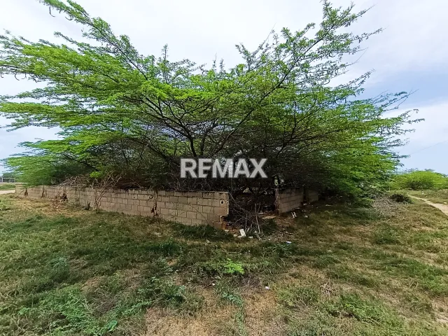 En Venta Terreno y Parcela Adícora, Falcón, VEN - Foto 4