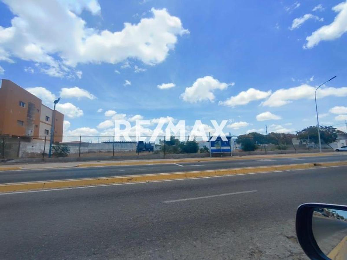 En Venta Terreno y Parcela Av. Rafael Gonzalez, Punto Fijo, Carirubana, Falcón, VEN - Foto 4