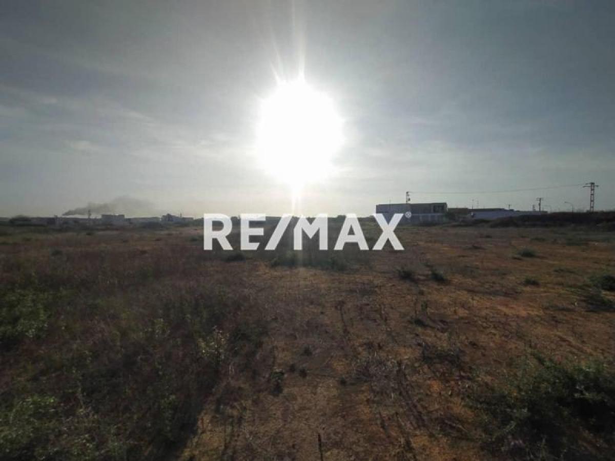 En Venta Terreno y Parcela Puerta Maraven, Cardón, Carirubana, Falcón, VEN - Foto 4