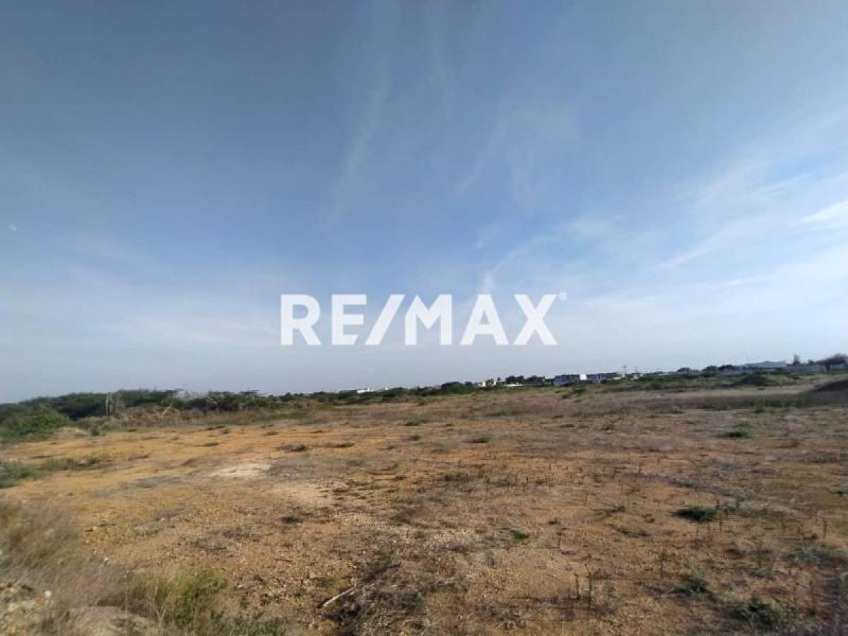 En Venta Terreno y Parcela Puerta Maraven, Cardón, Carirubana, Falcón, VEN - Foto 8