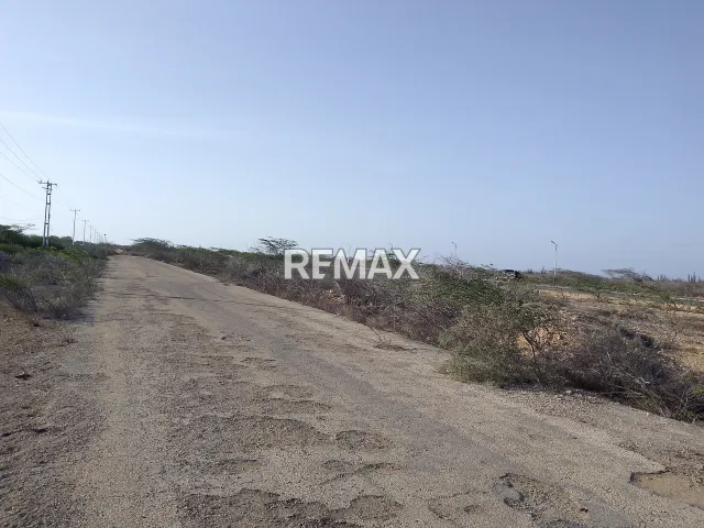 En Venta Terreno y Parcela Jayana, Los Taques, Falcón, VEN - Foto 2