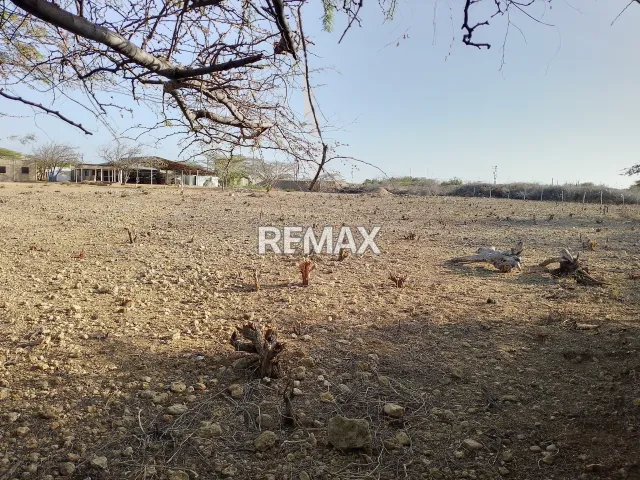 En Venta Terreno y Parcela Jayana, Los Taques, Falcón, VEN - Foto 4