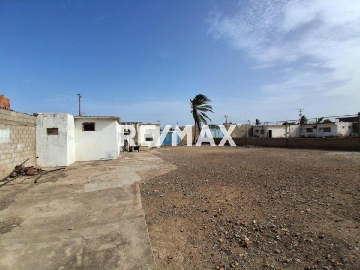 En Venta Local Industrial y Galpón Santa Elena, Punto Fijo, Carirubana, Falcón, VEN - Foto 5