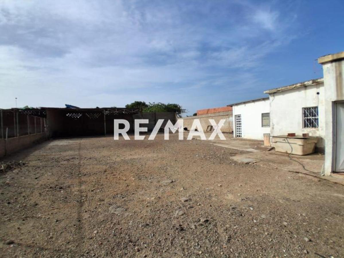 En Venta Local Industrial y Galpón Santa Elena, Punto Fijo, Carirubana, Falcón, VEN - Foto 10