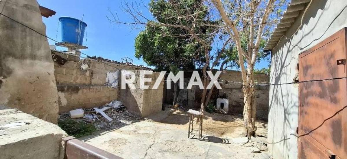 En Venta Local Comercial centro de Punto Fijo, Calle Zamora, Punto Fijo, Carirubana, Falcón, VEN - Foto 8