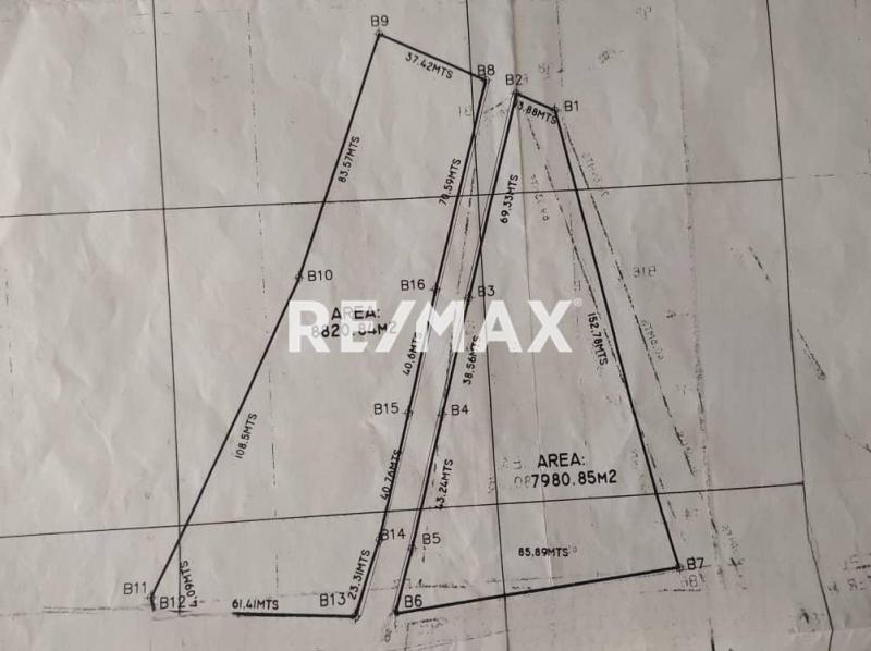 Terreno en Venta, Sector La Guadalupe, El Taparo, Municipio Carirubana